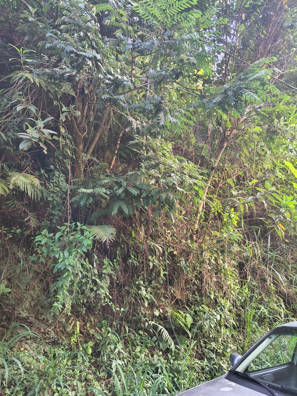 65a5f965-72cf-439b-a420-113cbc21213a