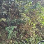 65a5f965-72cf-439b-a420-113cbc21213a