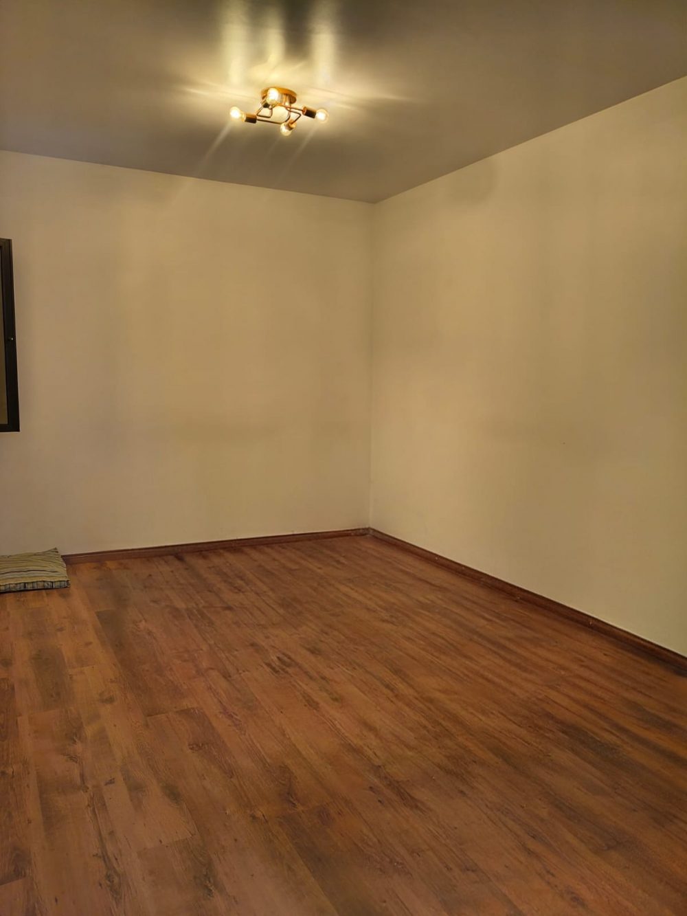 8056da54-c70a-4c2d-aad4-ca16798c2bd4