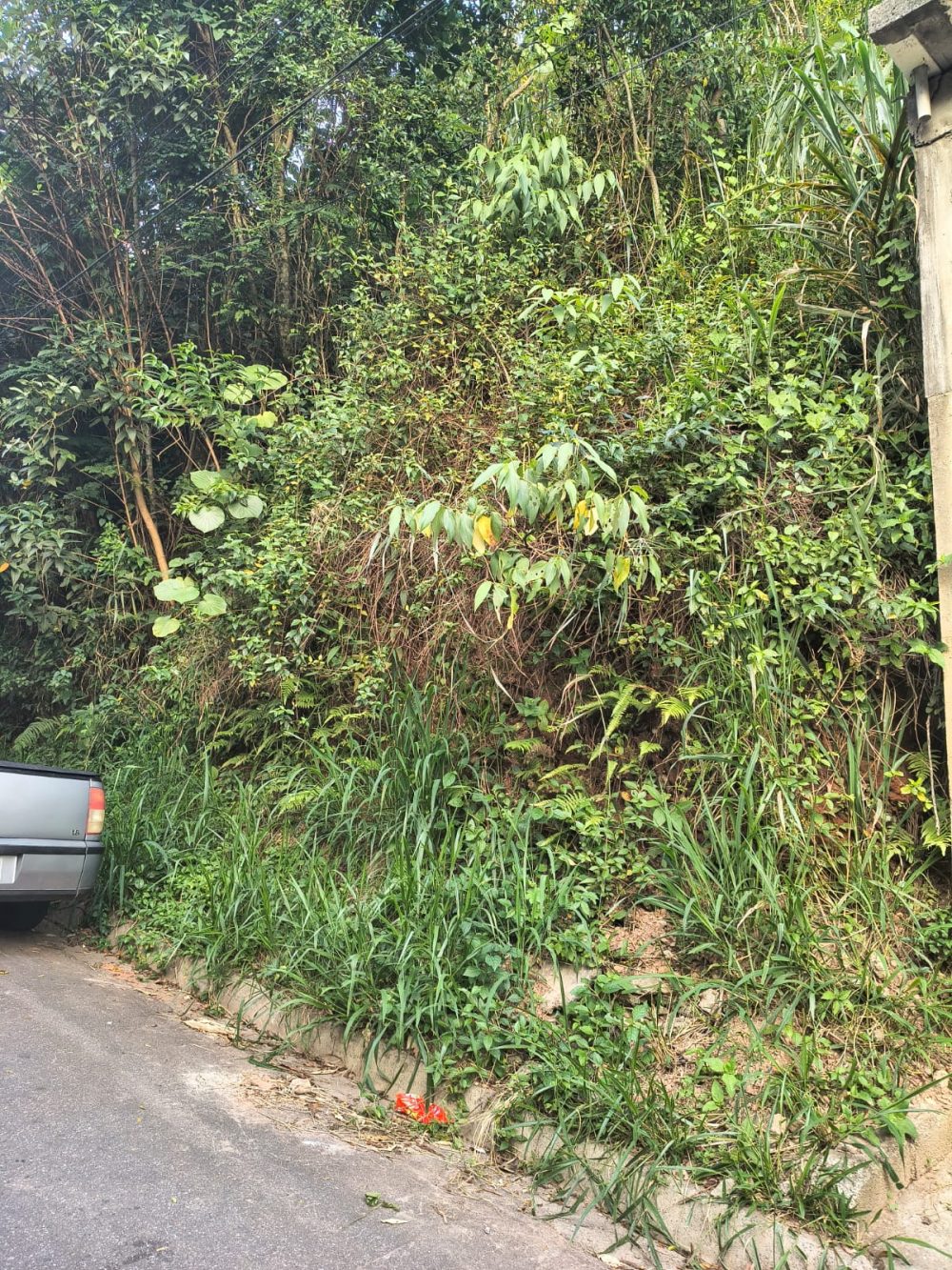 d67d5300-c26d-4245-afda-ac35abc0dfb9