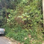 d67d5300-c26d-4245-afda-ac35abc0dfb9