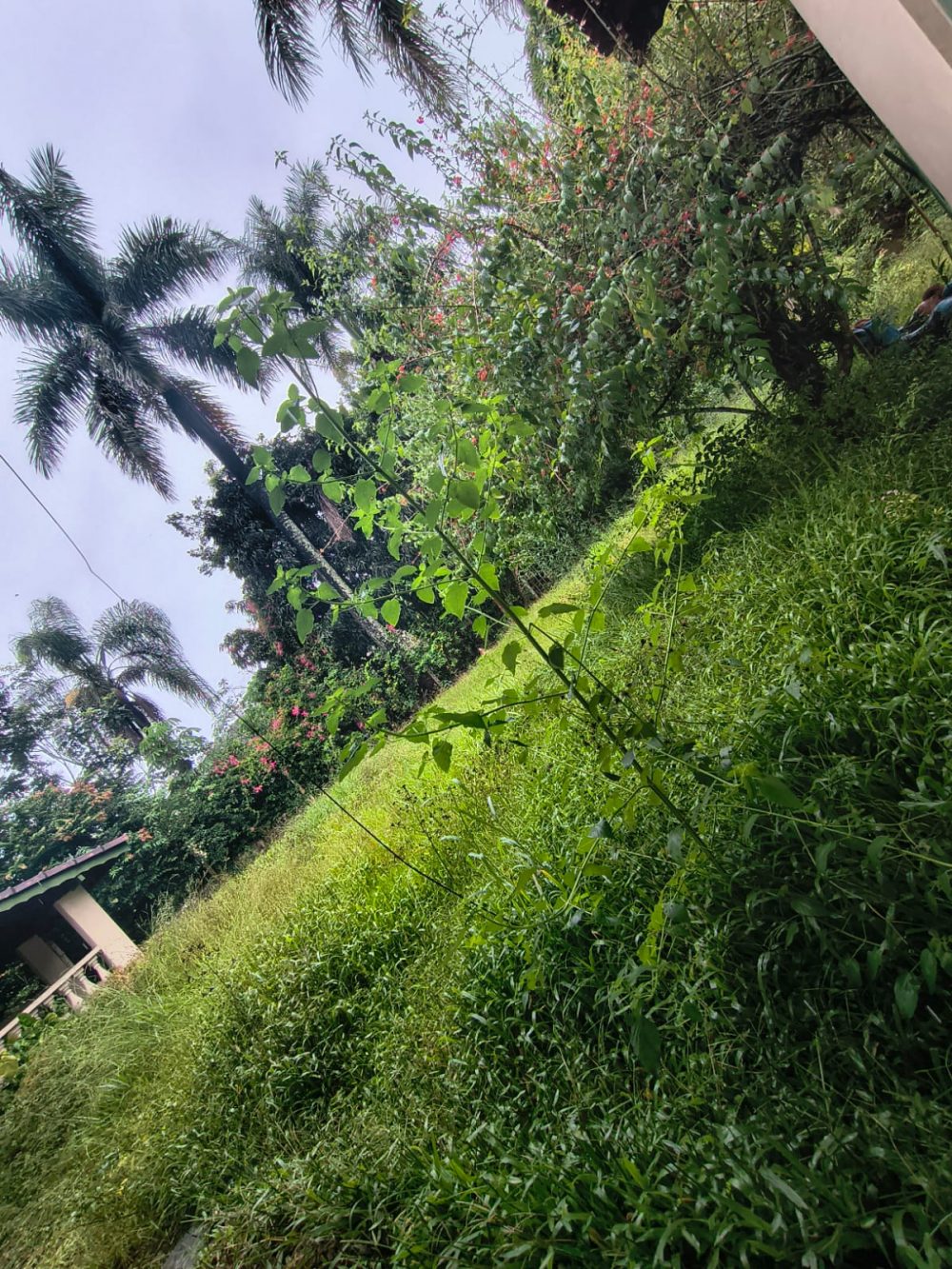 f62f7f4e-f375-4a26-a9b4-ddf77fd73012