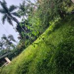 f62f7f4e-f375-4a26-a9b4-ddf77fd73012