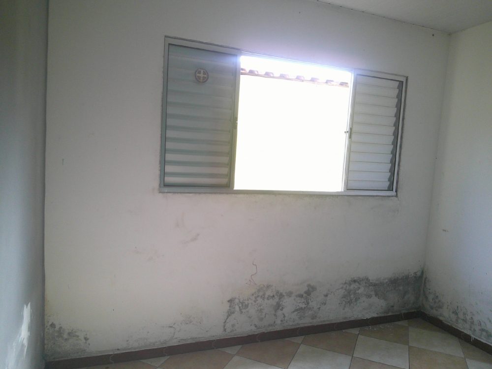 Digital Camera