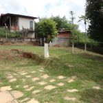 DSC02603