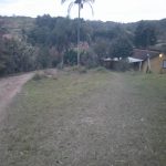 Digital Camera