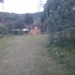 Digital Camera